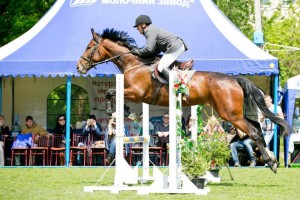 11255857_940066116037396_1685517991296235147_n